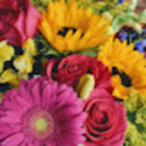 Meet your Posher, Francis eunice